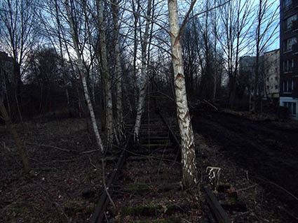 Alter Bahndamm hinter der Beermannstrasse